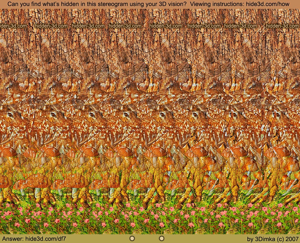 Stereogram by 3Dimka: Deer Forest. Tags: deer, forest, mashrooms, trees, hidden 3D picture (SIRDS)