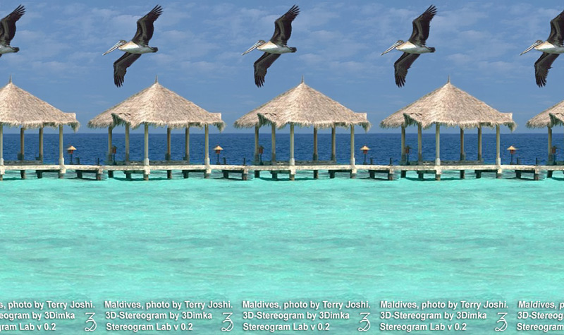Stereogram by 3Dimka: Maldives. Tags: maldives,pelicans,beach,tropics, hidden 3D picture (SIRDS)