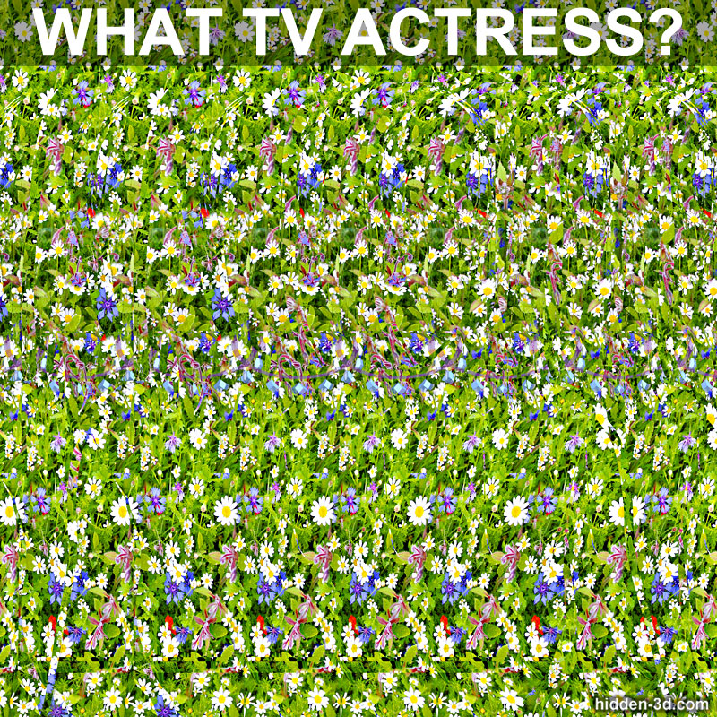 Stereogram by 3Dimka: Guess the TV actress. Tags: puzzle movie trivia ncis Pauley Perrette, hidden 3D picture (SIRDS)