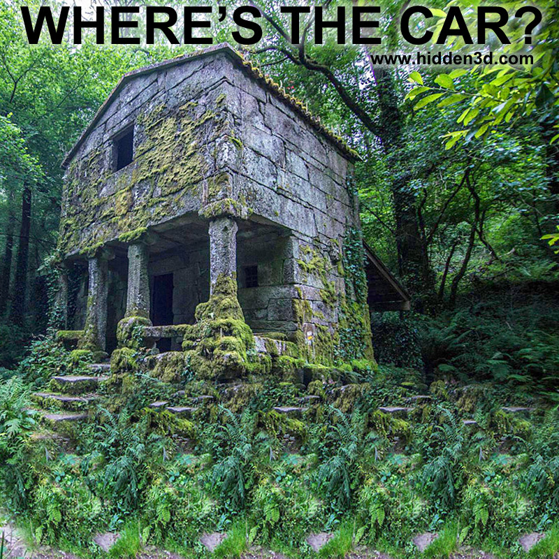 Stereogram by 3Dimka: Find the Car. Tags: forest ruins car beetle abandoned jungle, hidden 3D picture (SIRDS)