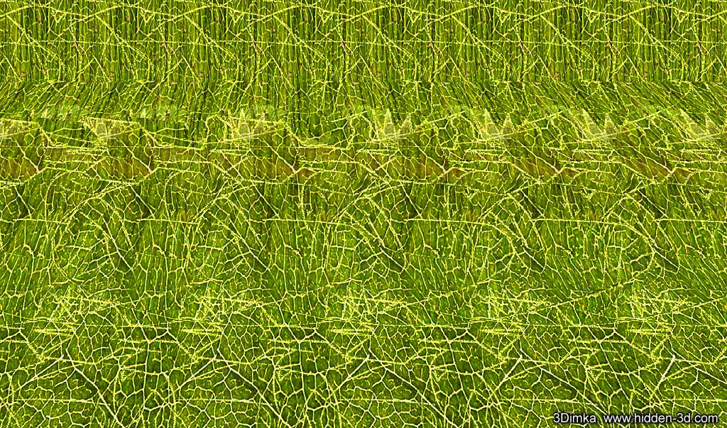 Stereogram by 3Dimka: Princess F (Cross-eyed). Tags: crosseyed, frog, misile, hidden 3D picture (SIRDS)
