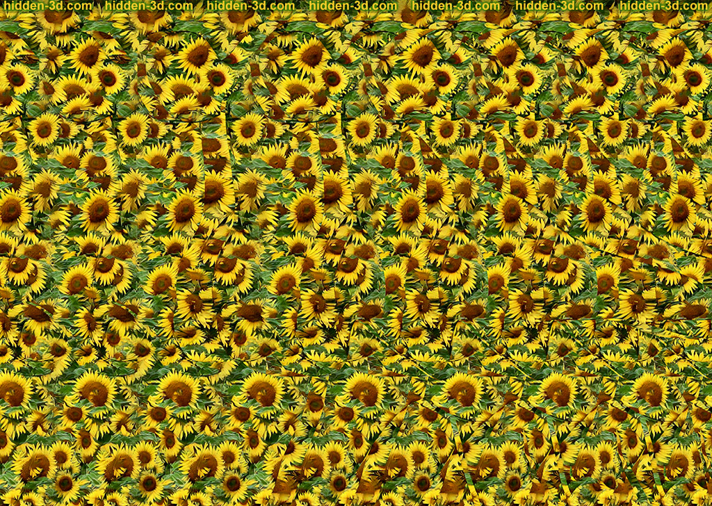 Stereogram by 3Dimka: Waking up to this (cross view). Tags: cow milk sunflower moo tongue, hidden 3D picture (SIRDS)