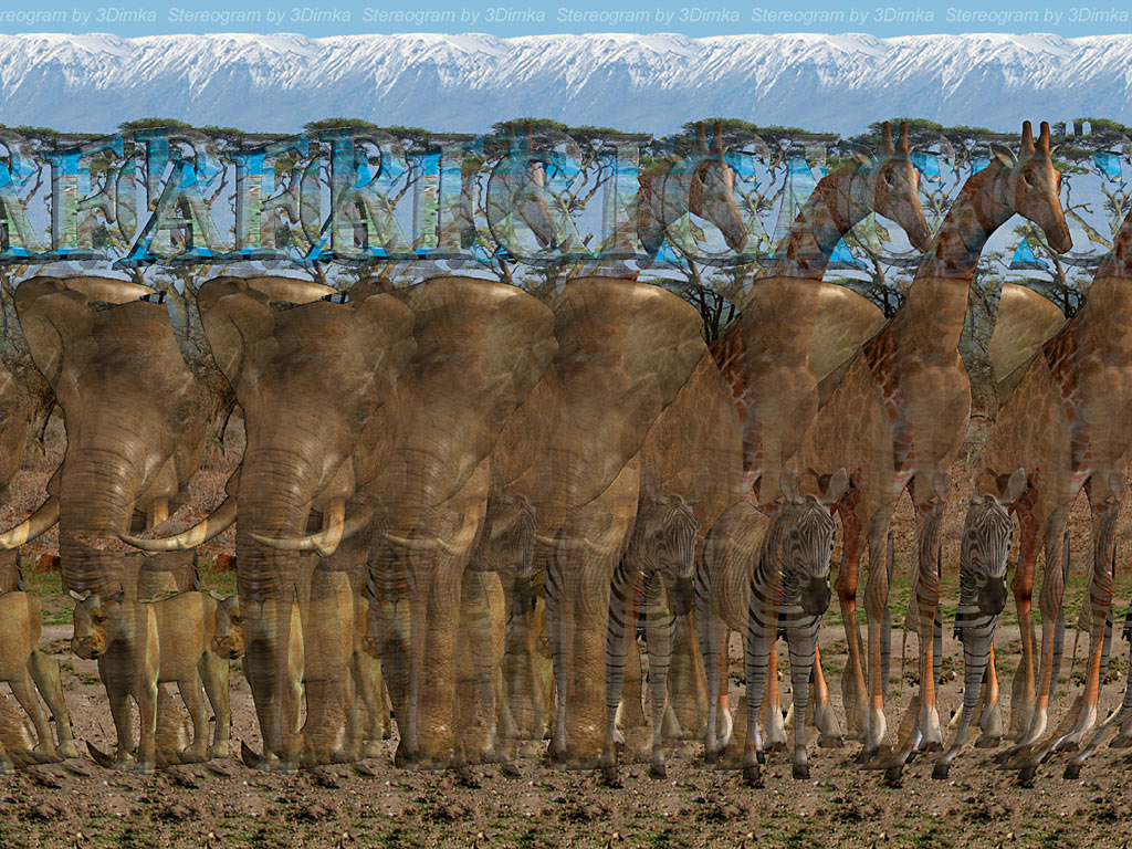 Stereogram by 3Dimka: Africa. Tags: africa, lioness,elephant,zebra,kilimanjaro, hidden 3D picture (SIRDS)