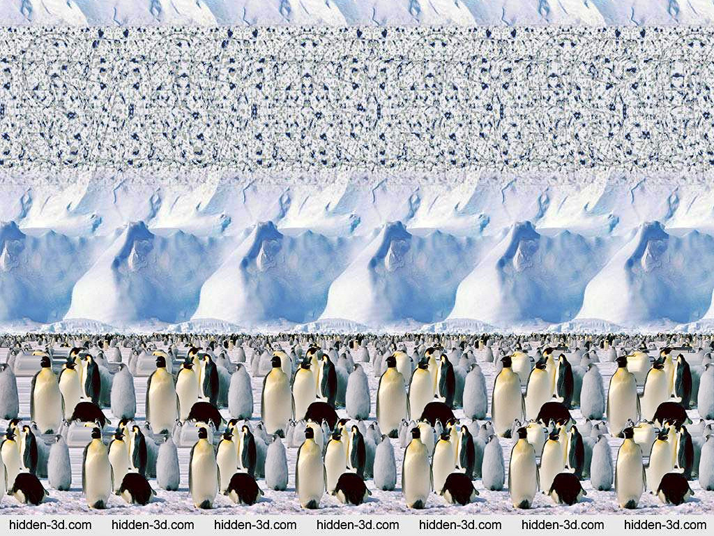 Stereogram by 3Dimka: Emperor Penguines. Tags: animals, penguines,antarctica,ice,snow, save us, hidden 3D picture (SIRDS)