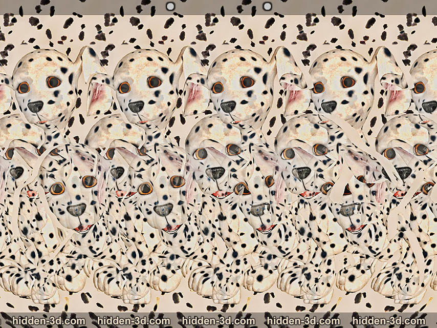 Stereogram by 3Dimka: Happy Spots. Tags: dalmatians,pups,dogs,animals three group pack playful cute, hidden 3D picture (SIRDS)