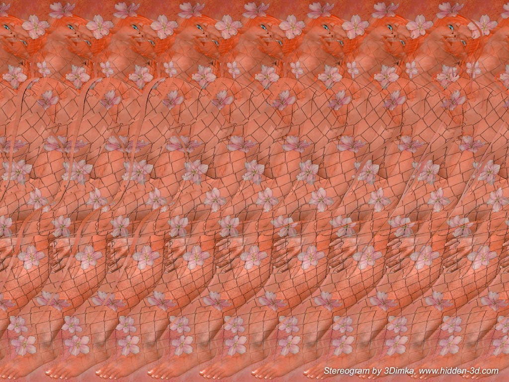 Stereogram By 3dimka Lady In Flowers Tags Sexy Nude Naked Girl 