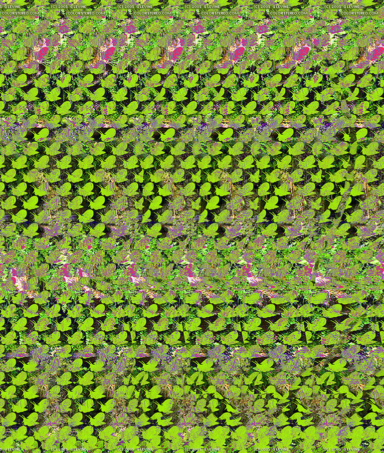 Stereogram by Gene Levine: Garden Invaders. Tags: , hidden 3D picture (SIRDS)