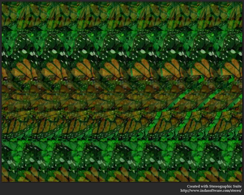 Stereogram by Indasoftware: Butterfly. Tags: , hidden 3D picture (SIRDS)