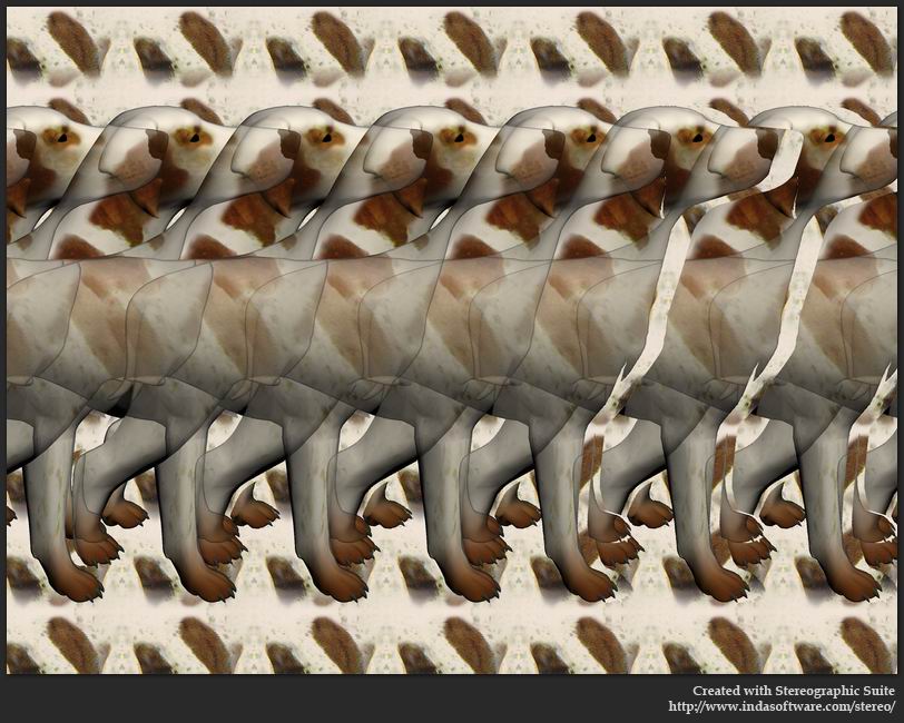 Stereogram by Indasoftware: Dog. Tags: , hidden 3D picture (SIRDS)
