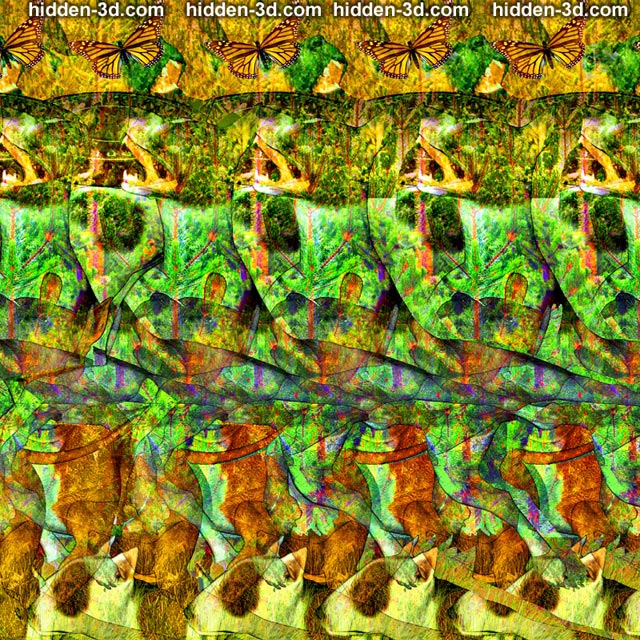 Stereogram by 3Dimka: Catch it!. Tags: dogs freezebee disk, hidden 3D picture (SIRDS)