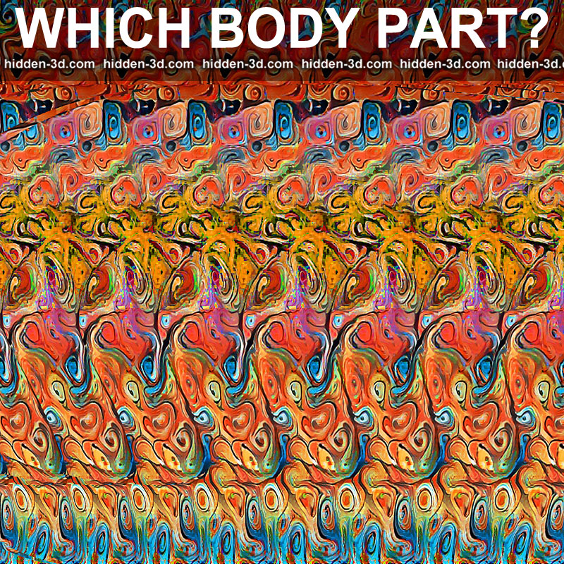 Puzzles Stereogram Gallery : Guess the part of body ...