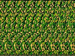 New Stereograms : Stereogram Images, Games, Video and Software. All Free!