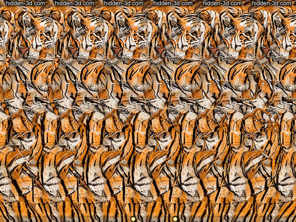 Stereogram by 3Dimka: What Year is it?. Tags: tiger 2022 happy new year eve, hidden 3D picture (SIRDS)