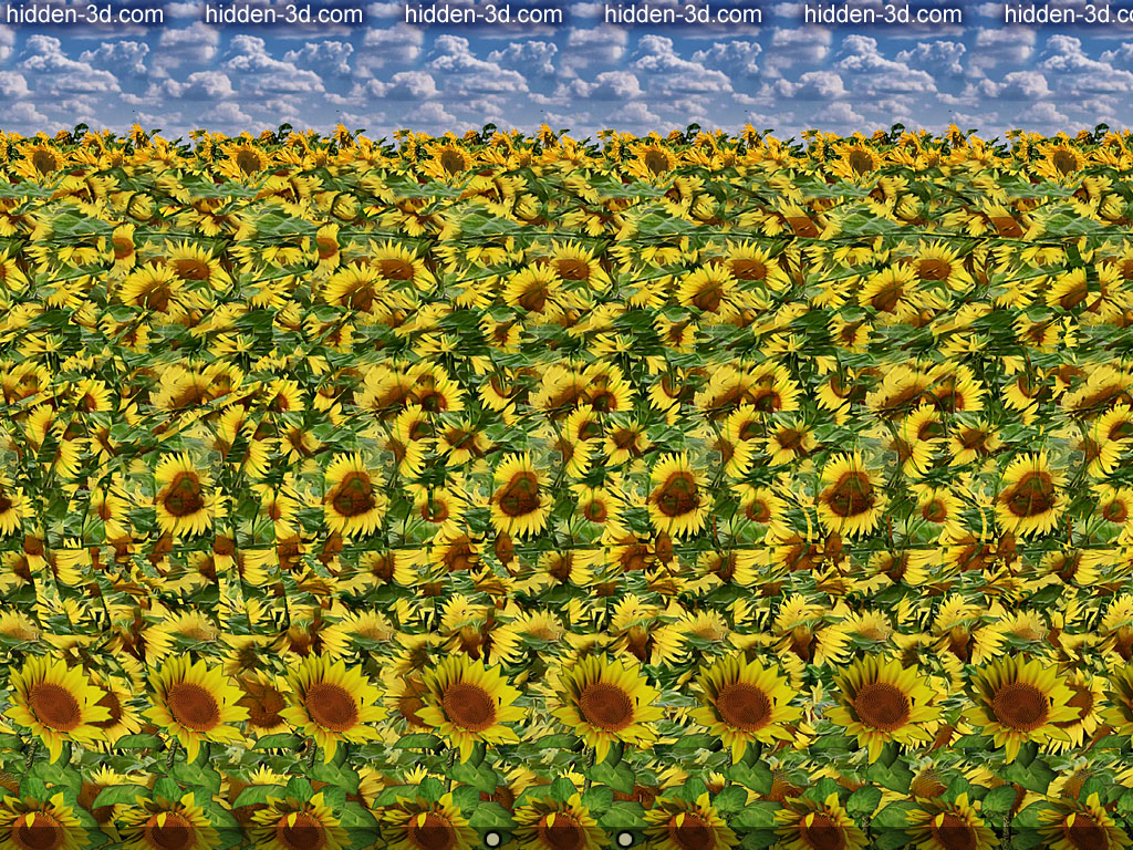 Stereogram by 3Dimka: Waiting for Harvest. Tags: russia putin no war ukraine peace  bombs tank broken sunflower occupation , hidden 3D picture (SIRDS)