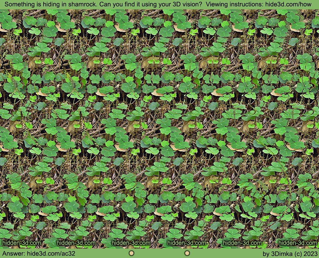 Stereogram by 3Dimka: Hiding in shamrock. Tags: lizard clover st. patrick holiday plants forest nature reptile animal, hidden 3D picture (SIRDS)