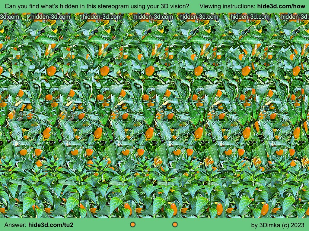 Stereogram by 3Dimka: Green rows. Tags: girl woman garden plants watering can pot pepper leaves green, hidden 3D picture (SIRDS)