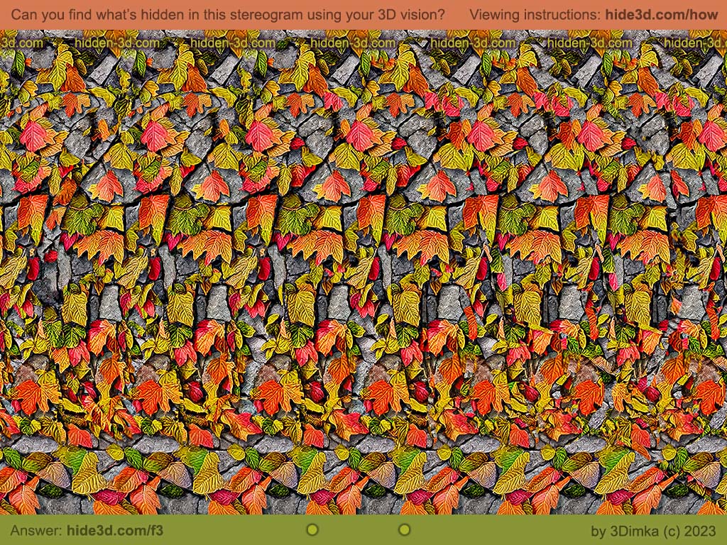 Obey Stereogram Images Games Video And Software All Free 4746